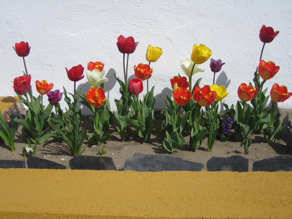 Palacio Viejo De Las Corchuelas 토레혼엘루비오 외부 사진